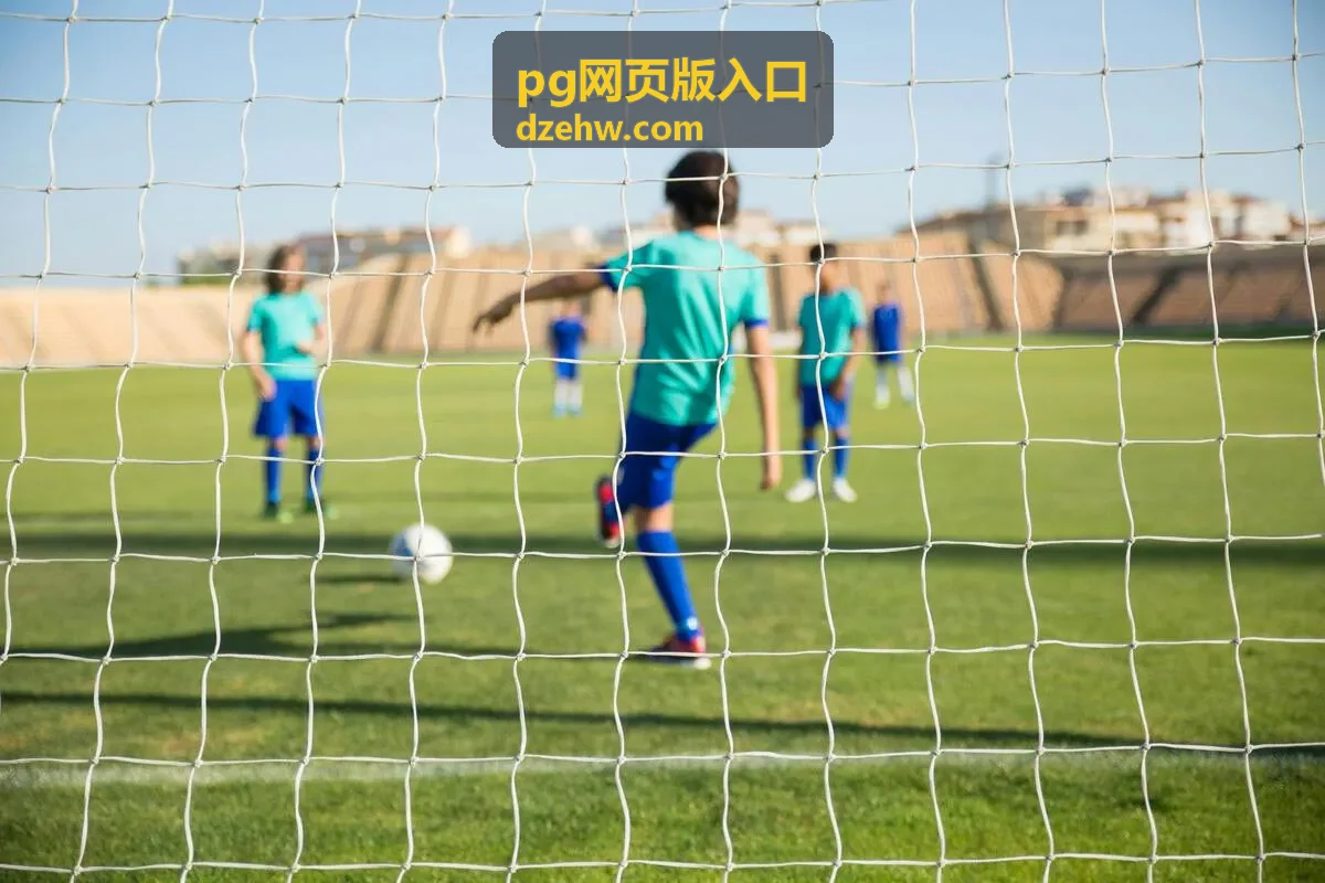 pg网页版登录异常处理指引