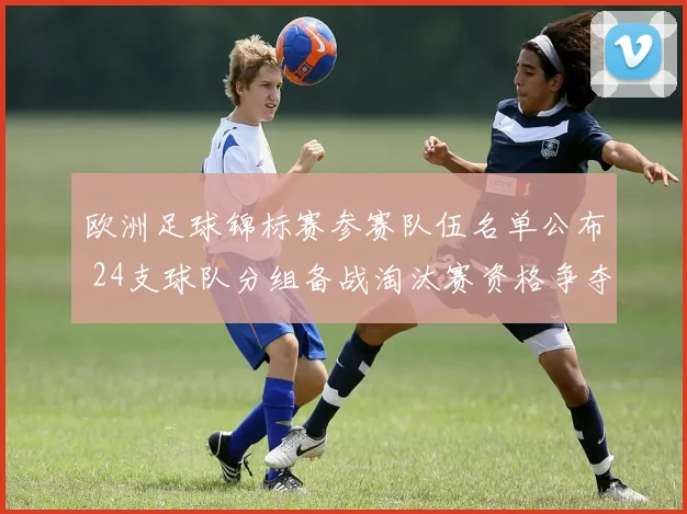 欧洲足球锦标赛参赛队伍名单公布 24支球队分组备战淘汰赛资格争夺展开