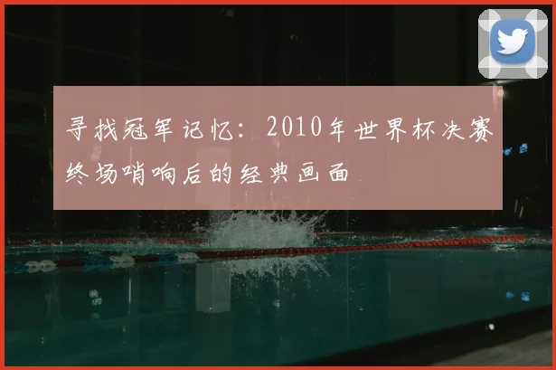 寻找冠军记忆：2010年世界杯决赛终场哨响后的经典画面