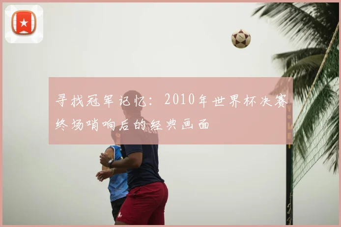 寻找冠军记忆:2010年世界杯决赛终场哨响后的经典画面