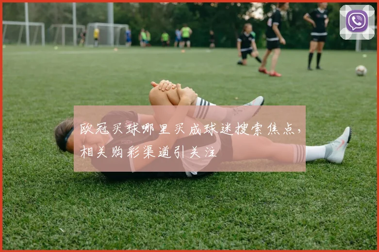 欧冠买球哪里买成球迷搜索焦点,相关购彩渠道引关注