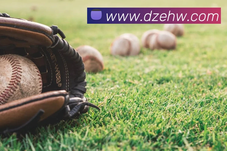 云顶国际官网在线登录平台生态图