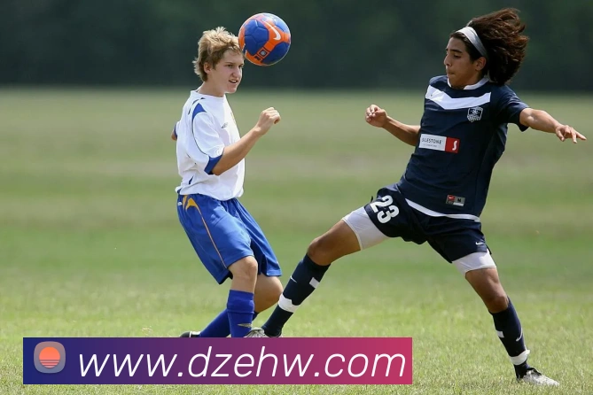 辅助工具 辅助工具